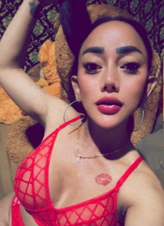 Laura BIG DICK GOOD TOP and GREAT BOTTOM - Transsexual escort in Bali Photo 17 of 21