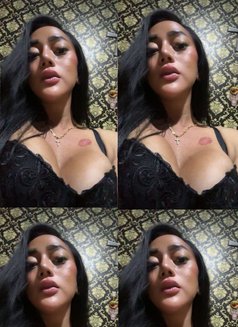 Laura BIG DICK GOOD TOP and GREAT BOTTOM - Transsexual escort in Bali Photo 20 of 21