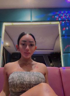 Laura BIG DICK GOOD TOP and GREAT BOTTOM - Acompañantes transexual in Bali Photo 21 of 21