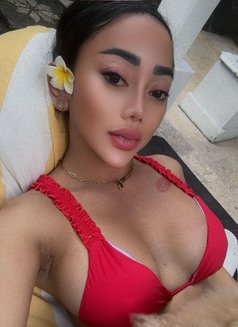 Laura BIG DICK GOOD TOP and GREAT BOTTOM - Transsexual escort in Bali Photo 20 of 21