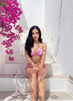 Laura - Transsexual escort in Riyadh Photo 9 of 14