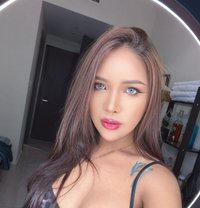 Laura - Transsexual escort in Riyadh