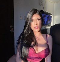 Laura Asiatica 7inch Top Versa - Transsexual escort in Cebu City