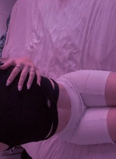 Lauren - escort in Amman Photo 3 of 3