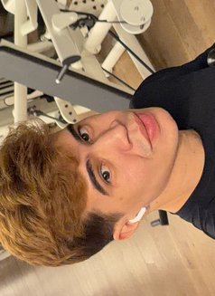 Laurent - Male escort in Oslo Photo 1 of 7