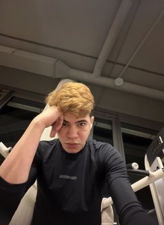 Laurent - Male escort in Oslo Photo 6 of 7