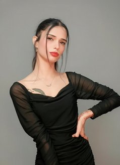 Laviii Sharma - Transsexual escort in Chandigarh Photo 14 of 15