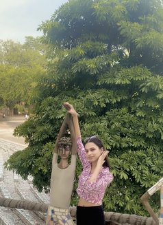 Laviii Sharma - Transsexual escort in Chandigarh Photo 4 of 11