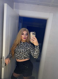 Lavy - Acompañantes masculino in Erbil Photo 5 of 13