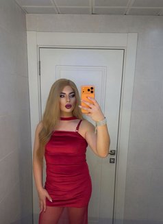 Lavy - Acompañantes masculino in Erbil Photo 8 of 13