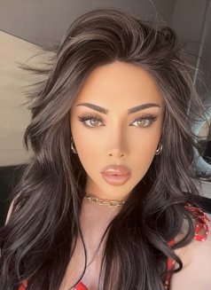Layal ♡ - Acompañantes transexual in Beirut Photo 1 of 15