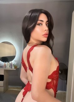Layal ♡ Lebanese ♡ - Transsexual escort in Beirut Photo 8 of 30