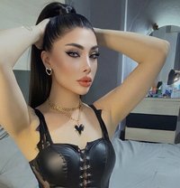 Layal 🇱🇧 - Acompañantes transexual in Beirut Photo 3 of 19