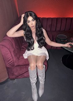 Layal lebanese - Acompañantes transexual in Beirut Photo 2 of 30