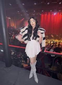 Layal lebanese - Acompañantes transexual in Beirut Photo 1 of 30