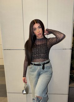 Layal lebanese - Transsexual escort in Beirut Photo 1 of 26