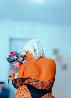 Layla Bunny - puta in Johannesburg Photo 4 of 7