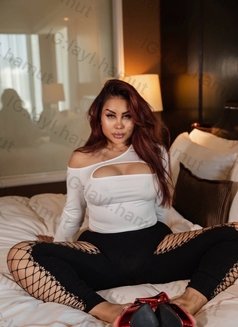 Layla Independent - escort in Pattaya Photo 26 of 30