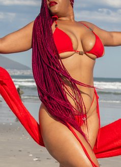 Layla - escort in Cape Town Photo 13 of 21