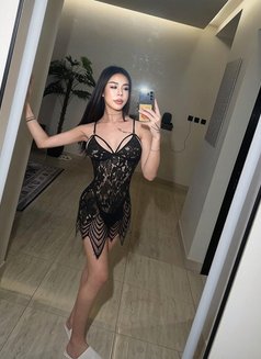 Layla - Transsexual escort in Pattaya Photo 13 of 13