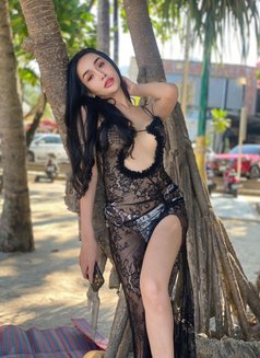 Layla - Transsexual escort in Phuket Photo 6 of 6