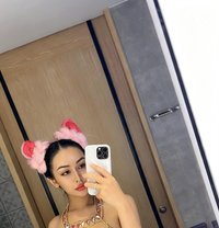 Layla - Transsexual escort in Phuket