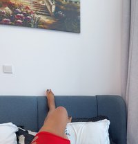Squirting booty layla - escort in Dubai