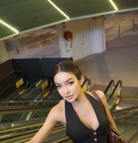 LaylaLadyboy The Irresistible Temptation - Transsexual escort in Riyadh