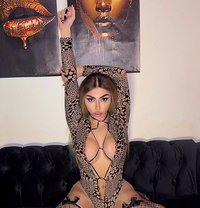 Lea Moradian - Transsexual escort in Beirut