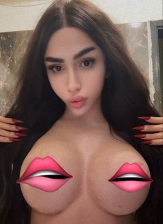 Lea Moradian - Acompañantes transexual in Beirut Photo 13 of 13