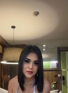 LAST FEW DAYS FILIPINA GENIUNE SHEMALE - Transsexual escort in Doha Photo 25 of 27