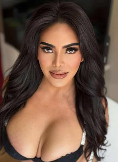 Kelsey the new and sweet girl - Transsexual escort in Chennai Photo 14 of 14