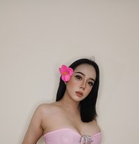 Leaya Ladyboy Thailand - Transsexual escort in Ajmān