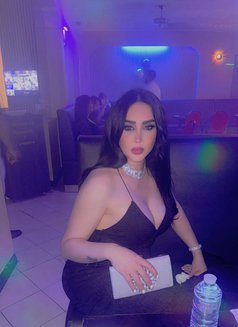 Lebanese in Paris لبنانيه - Transsexual escort in Paris Photo 17 of 18