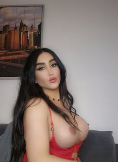 Lebanese in Paris لبنانيه - Transsexual escort in Paris Photo 18 of 18