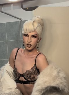 Lebanese Mistressلبنانية - Transsexual escort in Beirut Photo 1 of 6