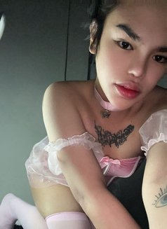 Lee - Acompañantes transexual in Riyadh Photo 1 of 4