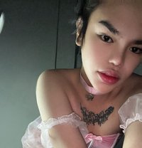 Lee - Transsexual escort in Riyadh