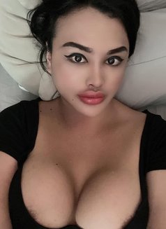 Leena Ladyboy Thailand - Transsexual escort in Al Sohar Photo 2 of 5