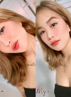 Legit High End Escort in Mnl - escort in Manila Photo 12 of 14