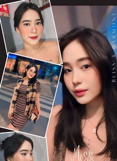 LEGIT NURU WiTH HAPPY ENDiNG - escort in Manila Photo 12 of 16