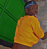 Leila - Transsexual escort in Nairobi