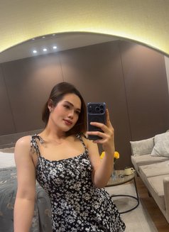 Lela 69🇵🇭 Perfect Licker - Transsexual escort in Riyadh Photo 11 of 12