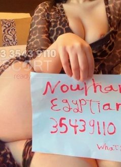 This is my only number ( Nourhan Egyptia - escort in Al Manama Photo 18 of 19