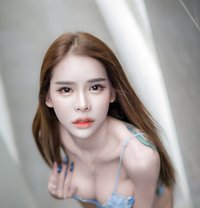 Kitty comeback - Transsexual escort in Bangkok