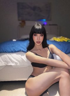 Lemonned both 69 - Transsexual escort in Jeddah Photo 6 of 11