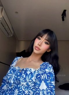 Lemonned both 69 - Transsexual escort in Jeddah Photo 12 of 13