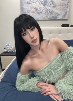 Lemonned both 69 - Transsexual escort in Jeddah Photo 14 of 17