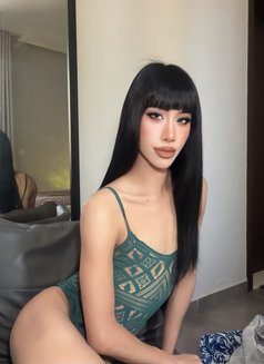 Lemonned both top big dick 69 - Transsexual escort in Jeddah Photo 15 of 18