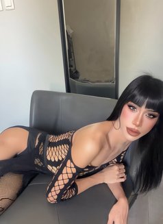 Lemonned both top big dick 69 - Transsexual escort in Jeddah Photo 18 of 18